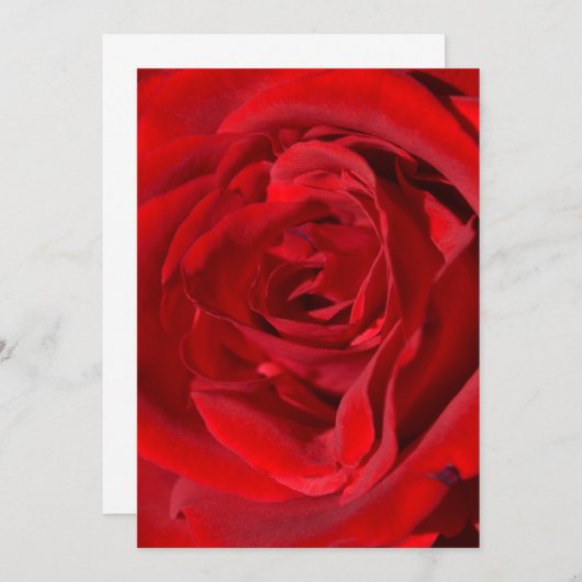 Invitations de la Rose rouge vive (Devant / Derrière)