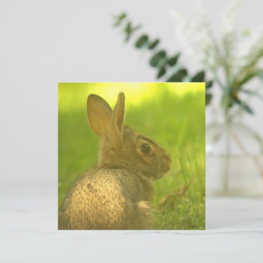 Invitations de lapin lapin (Debout devant)
