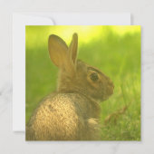 Invitations de lapin lapin (Devant)