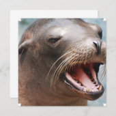 Invitations de lions de mer de Californie (Devant / Derrière)