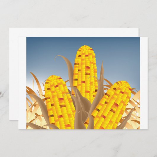 Invitations de maïs (Devant / Derrière)