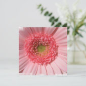 Invitations de marguerite de rose en pastel (Debout devant)