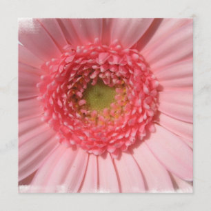 Invitations de marguerite de rose en pastel
