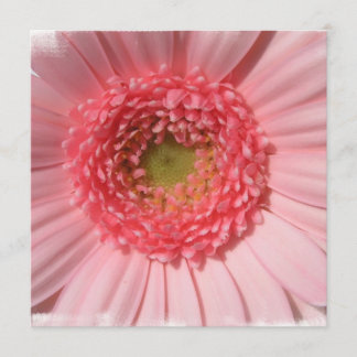 Invitations de marguerite de rose en pastel