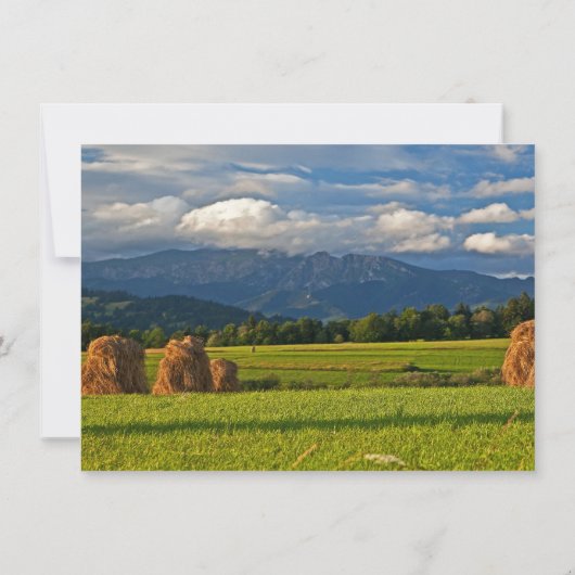 Invitations de Mariage campagnard de terrain de la (Dos)