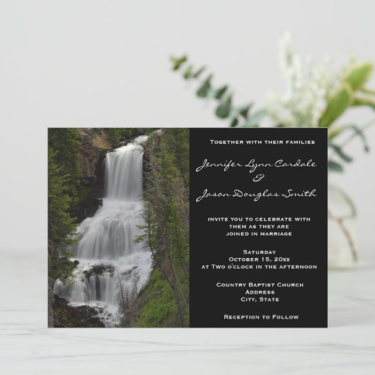 Invitations de mariage de nature de cascade de (Debout devant)