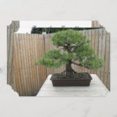 Invitations de mariage de pin de Mugo de bonsaïs (Devant / Derrière)
