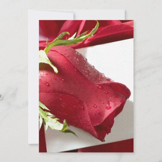 invitations de mariage de rose rouge (Dos)