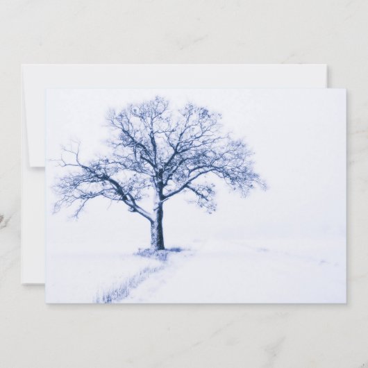 Invitations de mariage d'hiver bleu et blanc (Dos)