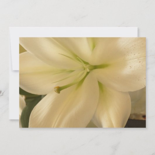 Invitations de mariage florales (Dos)