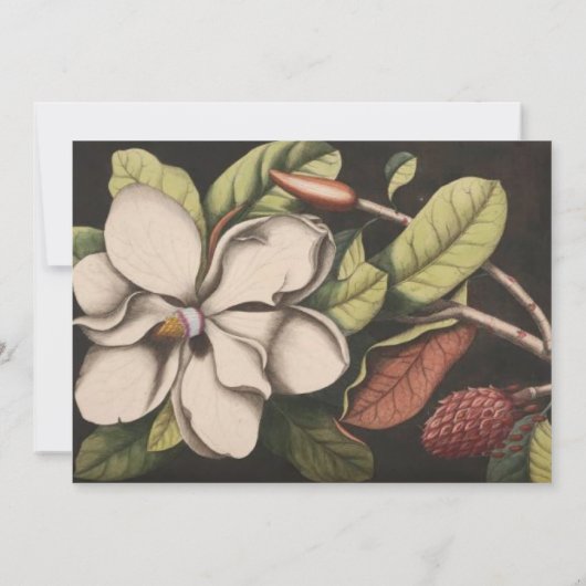 Invitations de mariage Magnolia (Dos)