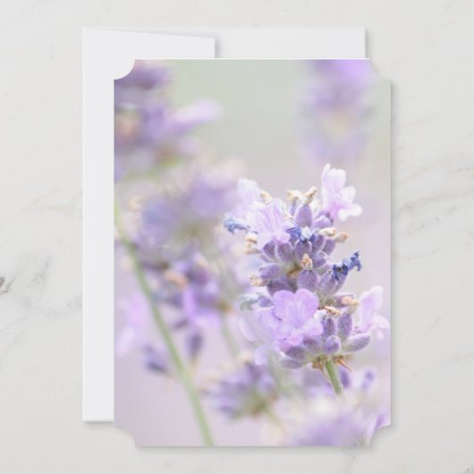 Invitations de mariage violet et doré Lavande (Dos)