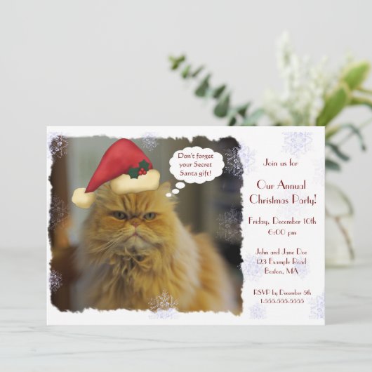Invitations de Noël de chat persan (Debout devant)