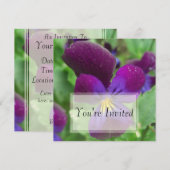 Invitations de Pansy (Devant / Derrière)
