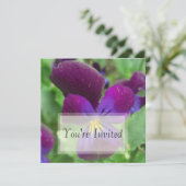 Invitations de Pansy (Debout devant)
