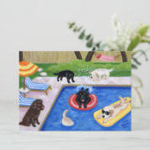 Invitations de partie d'été de Labradors de (Debout devant)