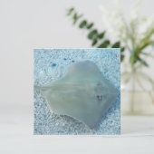 Invitations de pastenague d'eau doux (Debout devant)