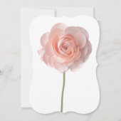 Invitations de pétales de fleurs (Dos)