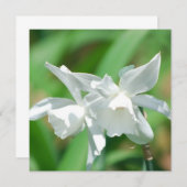 Invitations de petites boîtes de nuit de la coupe (Devant / Derrière)