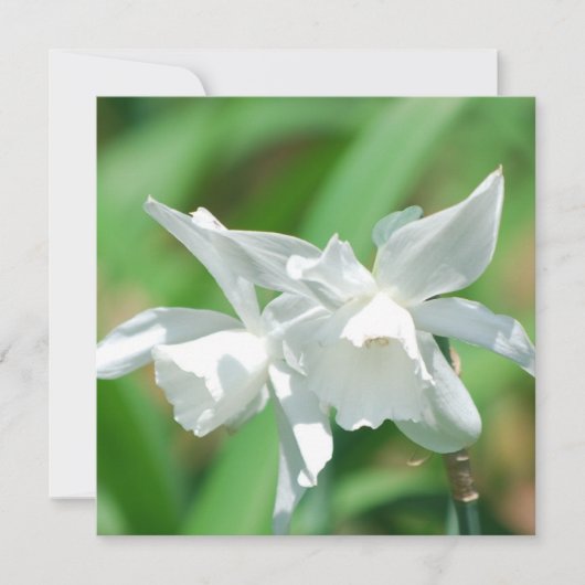 Invitations de petites boîtes de nuit de la coupe (Devant)