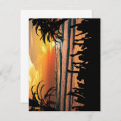 Invitations de plage tropicales (Devant / Derrière)