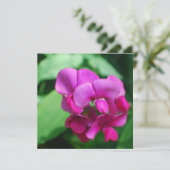 Invitations de pois doux (Debout devant)