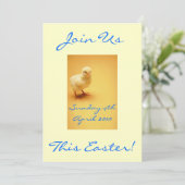 Invitations de poulets de Pâques jaunes (Debout devant)