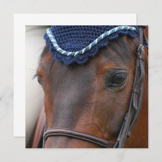 Invitations de profil de cheval (Devant / Derrière)