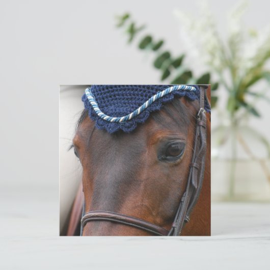 Invitations de profil de cheval (Debout devant)