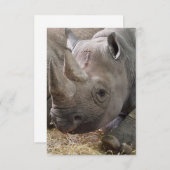 Invitations de rhinocéros (Devant / Derrière)