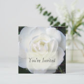 Invitations de rose blanc (Debout devant)
