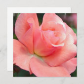 Invitations de rose rose (Devant / Derrière)