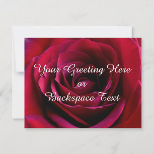 Invitations de roses Cartes RSVP Roses personnalis