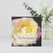 Invitations des Roses de paix (Debout devant)