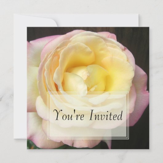 Invitations des Roses de paix (Devant)