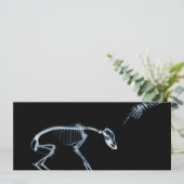 Invitations des Skeletons à rayons X Blue Bad Dog (Debout devant)