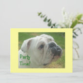 Invitations du Bulldog Party anglaises les plus fo (Debout devant)