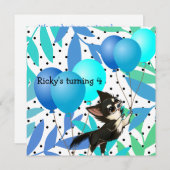 Invitations du Chihuahua noir et blanc (Devant / Derrière)