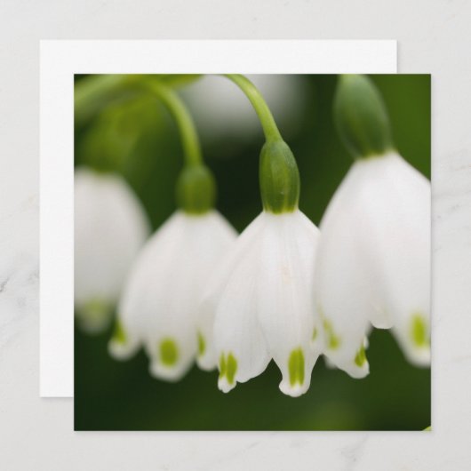 Invitations du muguet (Devant / Derrière)