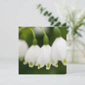 Invitations du muguet (Debout devant)