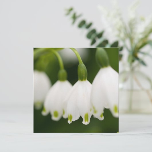 Invitations du muguet (Debout devant)