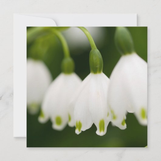 Invitations du muguet (Devant)