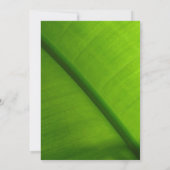 Invitations du parti Luau (Dos)