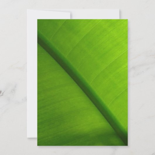 Invitations du parti Luau (Dos)