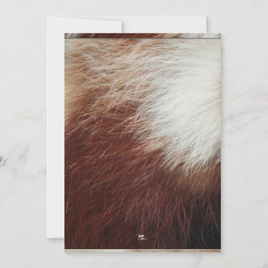 Invitations du Parti Panda Rouge (Dos)