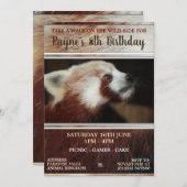 Invitations du Parti Panda Rouge (Devant / Derrière)