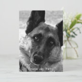 Invitations du Shepherd Party en Allemagne (Debout devant)