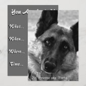 Invitations du Shepherd Party en Allemagne (Devant / Derrière)