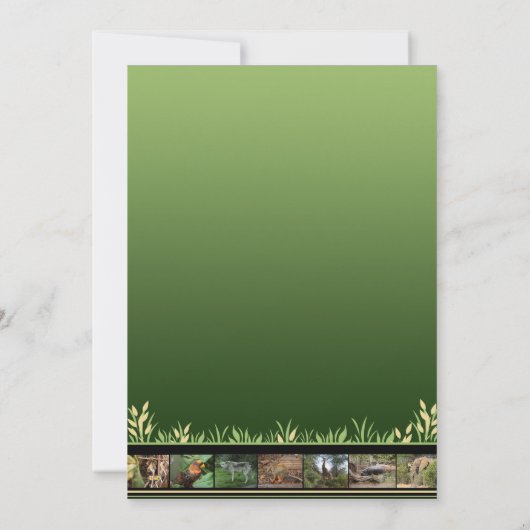 Invitations du zoo de la faune (Dos)