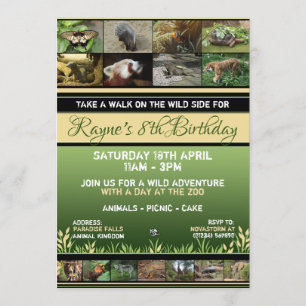 Invitations du zoo de la faune